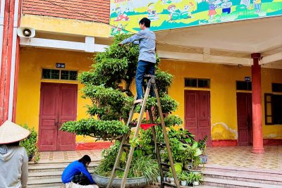 TRƯỜNG TIỂU HỌC HẢI ANH RA QUÂN TỔNG VỆ SINH MÔI TRƯỜNG CHÀO MỪNG NGÀY BẦU CỬ ĐẠI BIỂU QUỐC HỘI KHÓA XVI VÀ ĐẠI BIỂU HĐND CÁC CẤP NHIỆM KỲ 2026 – 2031